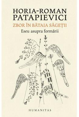 Copertă produs Zbor &icirc;n bătaia săgeţii