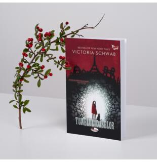 Seria &ldquo;Cassidy Blake&rdquo; de V.E. Schwab