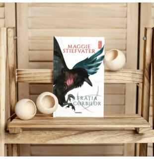 Recenzie carte: seria Frăţia Corbilor de Maggie Stiefvater &ndash; Hoții din Vis, Blue Lily Lily Blue, Regele Corb