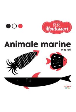 Copertă produs Pachet Seria Bebe Montessori (Incomplet)