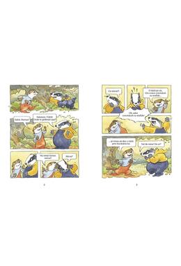 Copertă produs Cozonăcei cu stafide