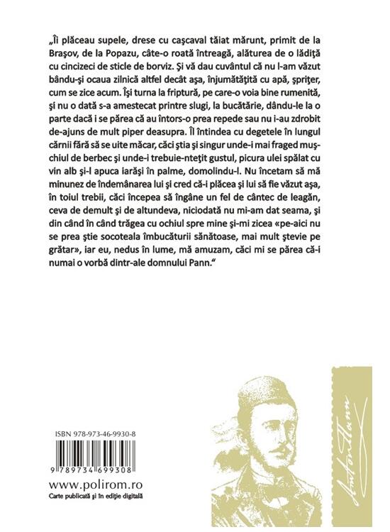 Copertă produs Anton Pann - gallery big 2