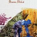 Copertă produs Steaua Divină - gallery small 
