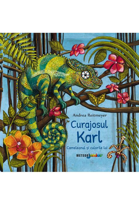 Copertă produs Curajosul Karl