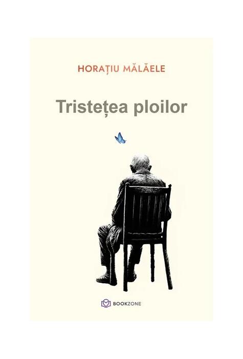 Copertă produs Tristețea ploilor