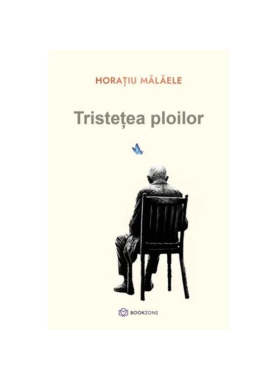 Copertă produs Tristețea ploilor - gallery big 1