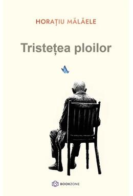 Copertă produs Tristețea ploilor