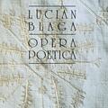 Copertă produs Opera poetică - gallery small 