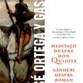 Copertă produs Meditații despre Don Quijote - gallery small 