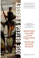 Meditații despre Don Quijote
