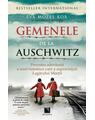 Copertă produs Gemenele de la Auschwitz - thumb 1