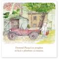 Copertă produs Mașina domnului Pleașcă - gallery small 