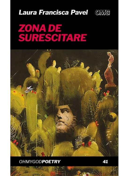 Copertă produs Zona de surescitare - gallery big 1
