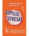 Copertă produs Copilul Stresat - thumb 1