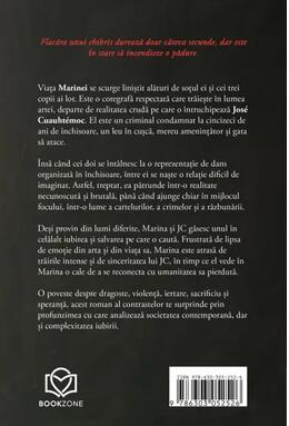 Copertă produs Salvarea focului