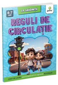 Copertă produs Reguli de circulație