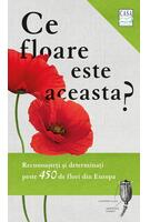 Imagine produs Ce floare este aceasta?