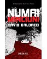 Copertă produs Numai minciuni - thumb 1
