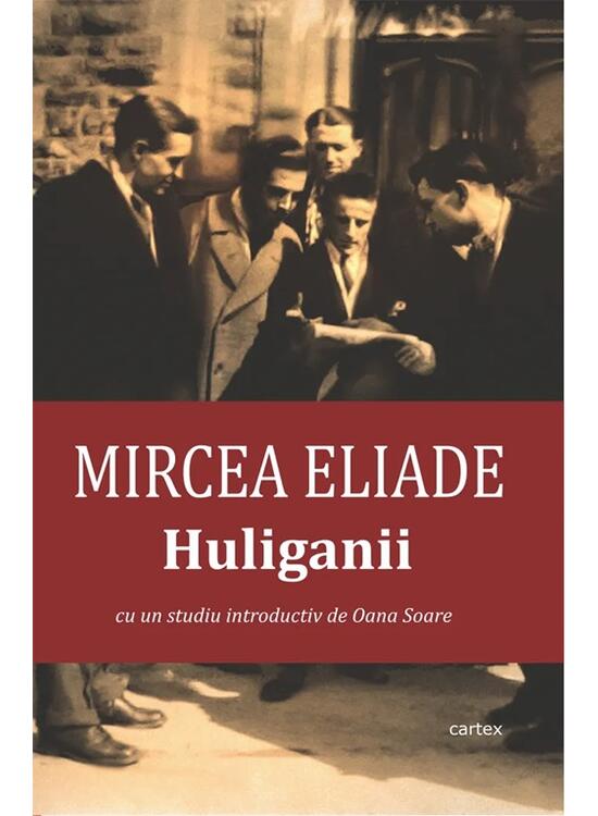 Copertă produs Huliganii - gallery big 1