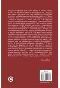 Copertă produs Huliganii