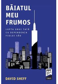 Copertă produs Băiatul meu frumos