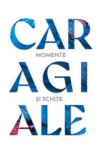 Copertă produs Momente şi schiţe