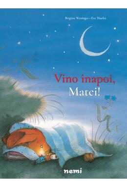 Copertă produs Pachet Aventurile lui Matei (incomplet)