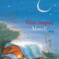 Copertă produs Pachet Aventurile lui Matei (incomplet) - gallery small 