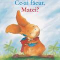 Copertă produs Pachet Aventurile lui Matei (incomplet) - gallery small 