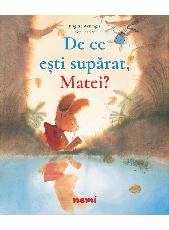 Copertă produs Pachet Aventurile lui Matei (incomplet) - gallery big 6