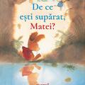 Copertă produs Pachet Aventurile lui Matei (incomplet) - gallery small 