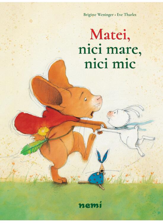 Copertă produs Pachet Aventurile lui Matei (incomplet) - gallery big 9