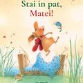 Copertă produs Pachet Aventurile lui Matei (incomplet) - gallery small 