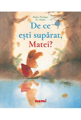 Copertă produs Pachet Aventurile lui Matei (incomplet)