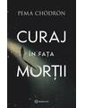 Copertă produs Curaj &icirc;n fața morții - thumb 1