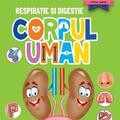 Copertă produs Mini pop-up: Corpul uman. Respirație si digestie - gallery small 