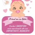 Copertă produs Cartonașe Primul an cu Bebe - Fetiță - gallery small 