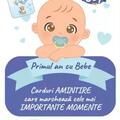 Copertă produs Cartonașe Primul an cu Bebe - Băiețel - gallery small 