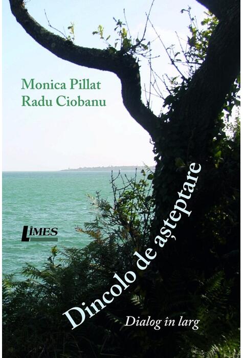 Copertă produs Dincolo de așteptare