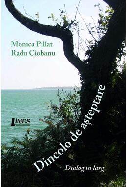 Copertă produs Dincolo de așteptare