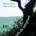 Copertă produs Dincolo de așteptare - gallery small 