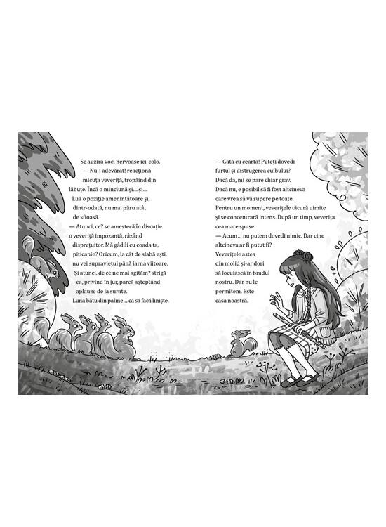 Copertă produs Ratonii &icirc;n căutarea unei case (Vol. 3) - gallery big 4