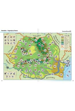 Copertă produs Atlas geografic școlar