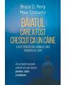 Copertă produs Băiatul care a fost crescut ca un c&acirc;ine și alte povești din jurnalul unui psihiatru de copii - thumb 1