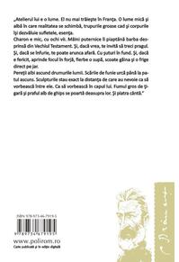 Copertă produs Brâncuși sau cum a învățat țestoasa să zboare