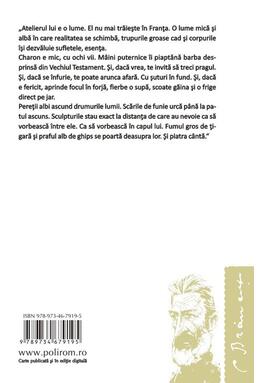Copertă produs Br&acirc;ncuși sau cum a &icirc;nvățat țestoasa să zboare