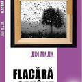 Copertă produs Flacără și cuv&acirc;nt - gallery small 