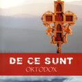 Copertă produs De ce sunt ortodox - gallery small 