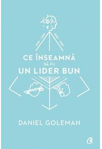 Copertă produs Pachet Daniel Goleman