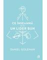 Copertă produs Pachet Daniel Goleman - thumb 6